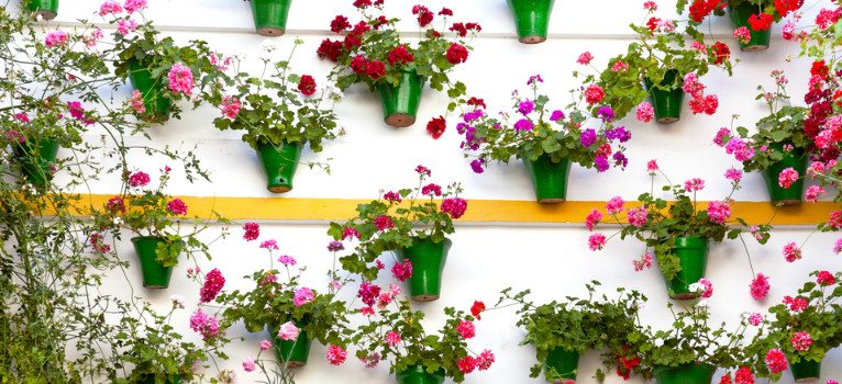 Festival des patios à Cordoue