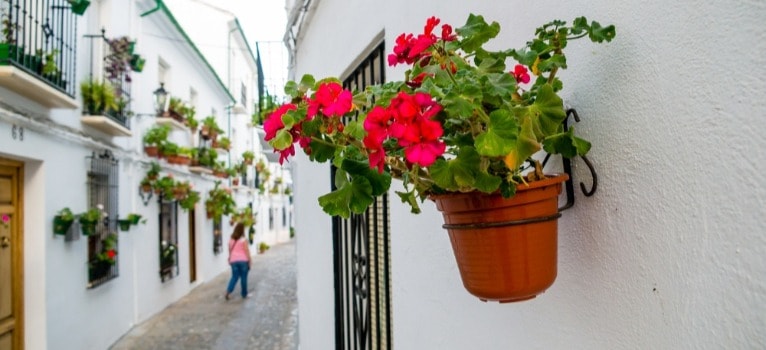 Villes dans la provinces de Cordoue – Priego de Córdoba
